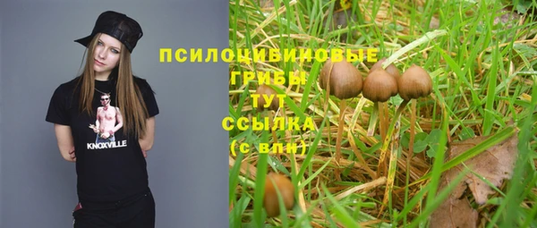 дурь Абаза