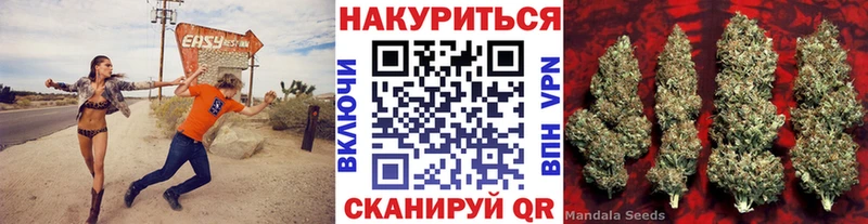 гидра tor  где найти наркотики  Благовещенск  Каннабис сатива 